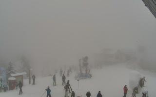 Jaworzyna Krynicka 1 - 29-01-2026 12:16