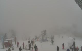 Jaworzyna Krynicka 1 - 29-01-2026 12:23