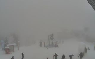 Jaworzyna Krynicka 1 - 29-01-2026 12:31