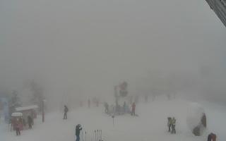 Jaworzyna Krynicka 1 - 29-01-2026 12:38