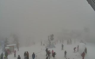 Jaworzyna Krynicka 1 - 29-01-2026 12:46