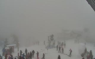 Jaworzyna Krynicka 1 - 29-01-2026 12:54