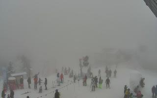 Jaworzyna Krynicka 1 - 29-01-2026 13:01