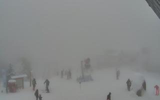 Jaworzyna Krynicka 1 - 29-01-2026 13:09