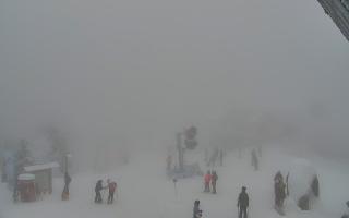 Jaworzyna Krynicka 1 - 29-01-2026 13:16