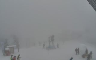 Jaworzyna Krynicka 1 - 29-01-2026 13:24