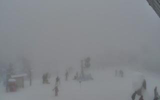 Jaworzyna Krynicka 1 - 29-01-2026 13:32