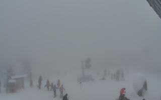 Jaworzyna Krynicka 1 - 29-01-2026 13:39