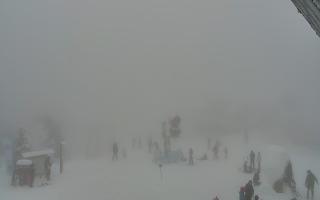 Jaworzyna Krynicka 1 - 29-01-2026 13:47