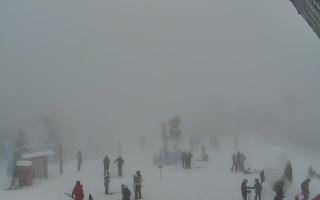 Jaworzyna Krynicka 1 - 29-01-2026 13:54