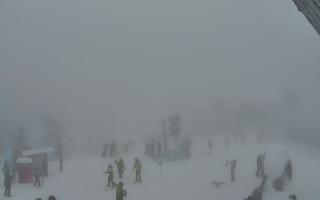 Jaworzyna Krynicka 1 - 29-01-2026 14:02