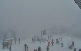 Jaworzyna Krynicka 1 - 29-01-2026 14:10