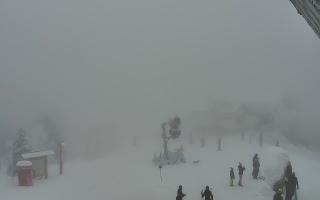 Jaworzyna Krynicka 1 - 29-01-2026 14:25