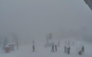 Jaworzyna Krynicka 1 - 29-01-2026 14:48