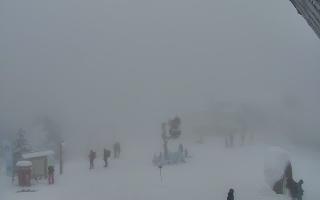 Jaworzyna Krynicka 1 - 29-01-2026 14:55