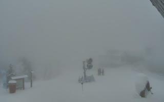 Jaworzyna Krynicka 1 - 29-01-2026 15:03