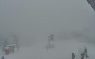 Jaworzyna Krynicka 1 - 29-01-2026 15:10