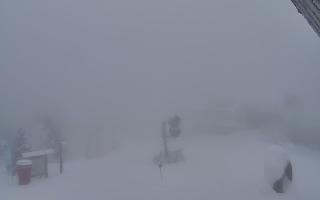 Jaworzyna Krynicka 1 - 29-01-2026 15:18