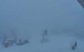 Jaworzyna Krynicka 1 - 29-01-2026 15:33