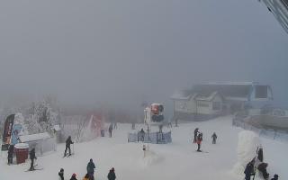 Jaworzyna Krynicka 1 - 01-02-2026 12:02