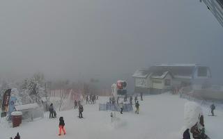 Jaworzyna Krynicka 1 - 01-02-2026 12:09