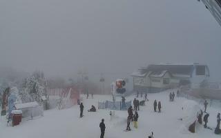 Jaworzyna Krynicka 1 - 01-02-2026 12:32