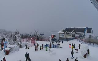 Jaworzyna Krynicka 1 - 01-02-2026 13:17