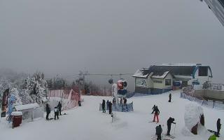 Jaworzyna Krynicka 1 - 01-02-2026 13:25