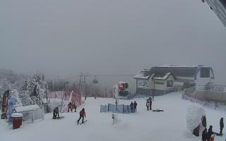 Jaworzyna Krynicka 1 - 01-02-2026 13:40