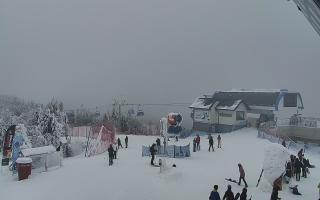 Jaworzyna Krynicka 1 - 01-02-2026 14:18