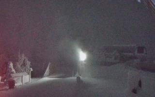 Jaworzyna Krynicka 1 - 01-02-2026 21:24