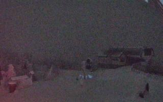 Jaworzyna Krynicka 1 - 02-02-2026 01:19