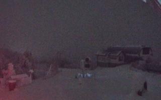 Jaworzyna Krynicka 1 - 02-02-2026 02:12