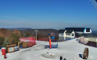 Jaworzyna Krynicka 1 - 16-03-2026 08:40