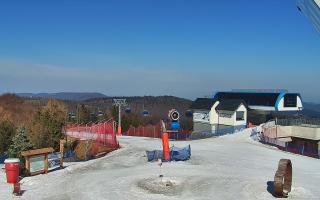 Jaworzyna Krynicka 1 - 16-03-2026 09:10