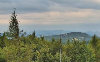 Jaworzyna Krynicka 2 - 02-08-2025 04:22