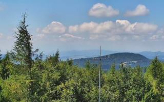 Jaworzyna Krynicka 2 - 05-08-2025 10:05