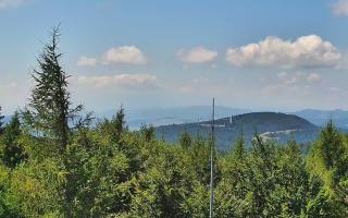 Jaworzyna Krynicka 2 - 05-08-2025 10:36