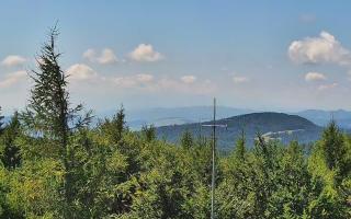 Jaworzyna Krynicka 2 - 05-08-2025 10:43