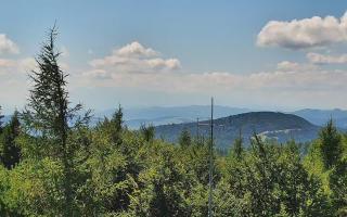 Jaworzyna Krynicka 2 - 05-08-2025 11:44