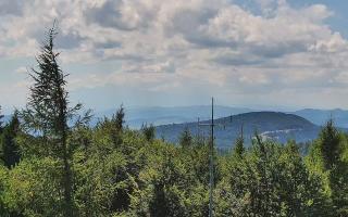 Jaworzyna Krynicka 2 - 05-08-2025 12:22