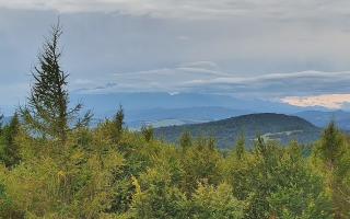 Jaworzyna Krynicka 2 - 16-09-2025 13:22