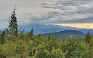 Jaworzyna Krynicka 2 - 16-09-2025 13:53