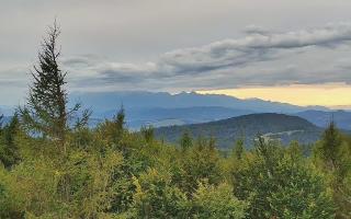 Jaworzyna Krynicka 2 - 16-09-2025 14:00