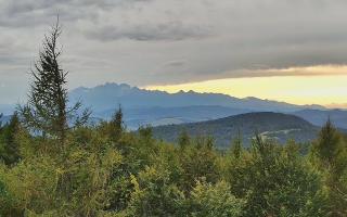 Jaworzyna Krynicka 2 - 16-09-2025 14:23