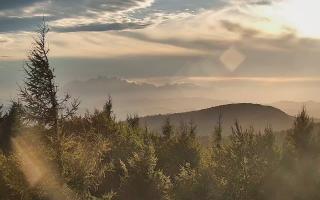 Jaworzyna Krynicka 2 - 16-09-2025 15:54