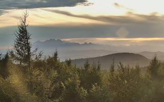 Jaworzyna Krynicka 2 - 16-09-2025 16:02