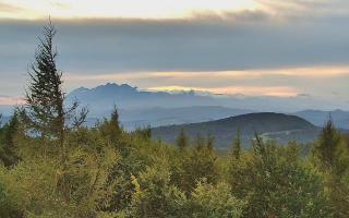 Jaworzyna Krynicka 2 - 16-09-2025 16:24