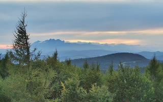 Jaworzyna Krynicka 2 - 16-09-2025 16:32