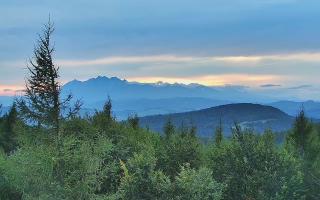 Jaworzyna Krynicka 2 - 16-09-2025 16:40